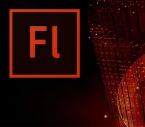 Flash in the pan