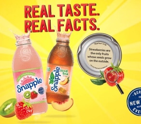 Snapple panel from website